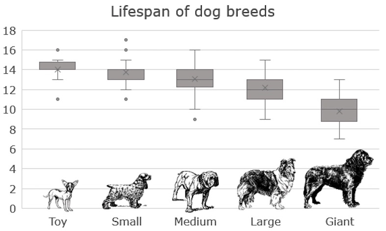 Box plot of lifespan across dog breed sizes