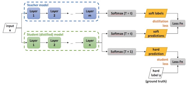 Training the student model via knowledge distillation